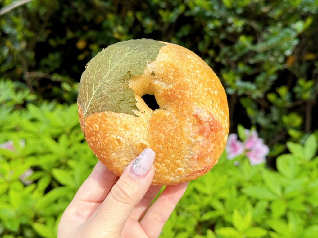 博多駅マイングにオープンしたRABBIT BAGELの梅しそ明太