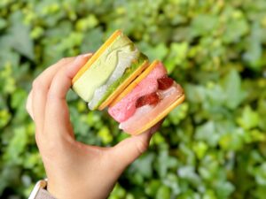 RUNNY CHEESE 博多阪急 催事